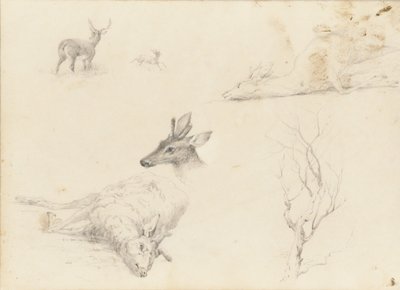 Cuaderno de bocetos de paisajes y animales, 1860-64 de Thomas Hewes Hinckley
