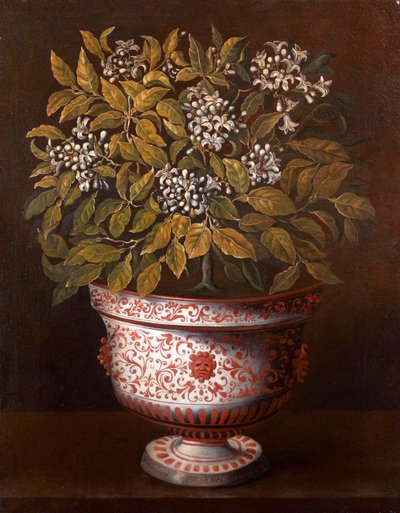 Jarrón de terracota con un arbusto de naranja en flor de Thomas Hiepes