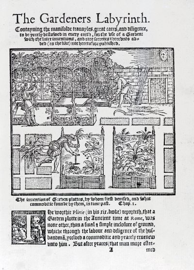 Pérgola construida como sombra contra el sol y plantación en camas elevadas, de The Gardeners Labyrinth, 1577 de Thomas Hill