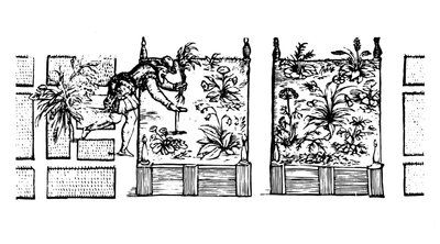Plantación en camas elevadas, de 