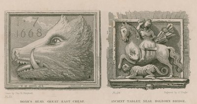 Cabeza de jabalí y antigua tableta de Thomas Hosmer Shepherd