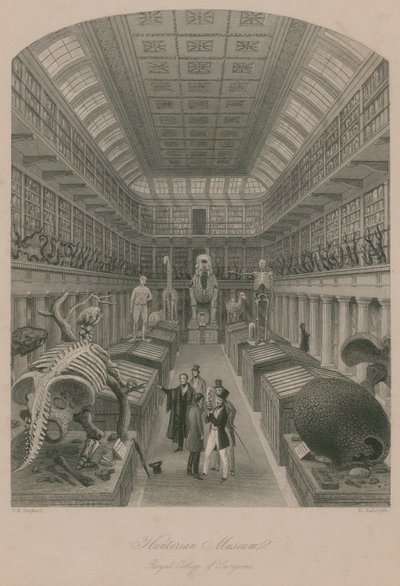 Museo Hunterian, Real Colegio de Cirujanos, Londres de Thomas Hosmer Shepherd