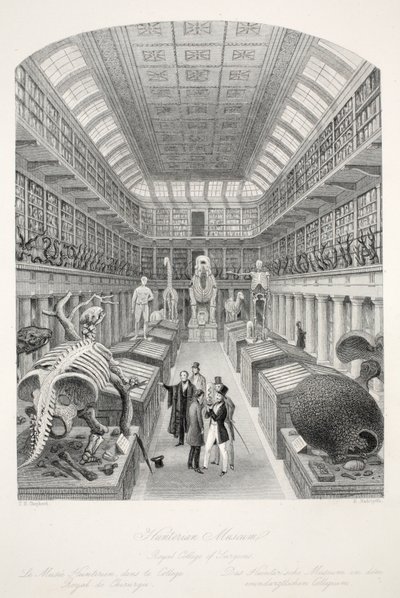 Museo Hunterian, Colegio Real de Cirujanos, de 