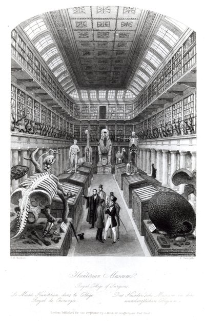 Museo Hunterian, ilustración de 