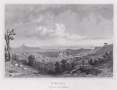 Wells, Somerset de Thomas Hosmer Shepherd