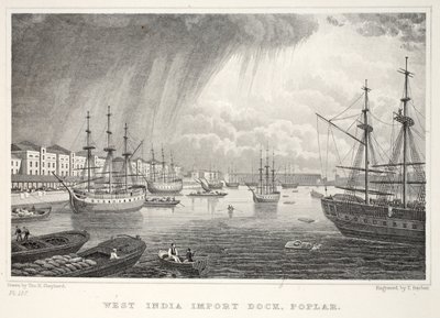 West India Docks, Isla de Perros, de Londres y sus alrededores en el siglo XIX pub. Jones y Co., 1827-1829 de Thomas Hosmer Shepherd