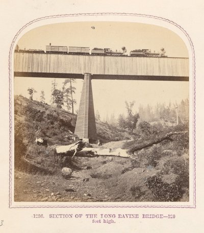 Sección del puente de Long Ravine de Thomas Houseworth