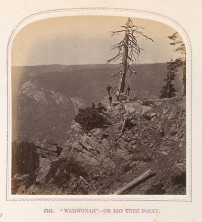 "Wahwonah" - O Big Tree Point de Thomas Houseworth