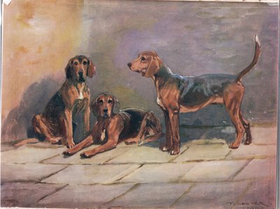 Perros, ilustración de 