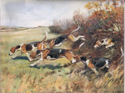 Siguiendo el rastro, ilustración de 
