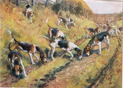 Nariz al suelo, ilustración de 