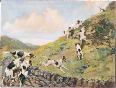 Escalando el muro, ilustración de 