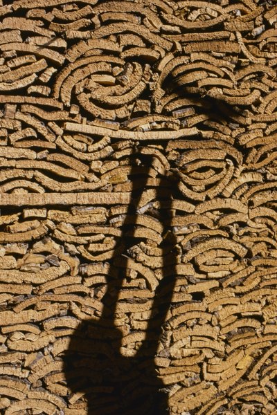 Sombra de un hombre apilando corcho para su exportación desde Marruecos de Thomas J. Abercrombie