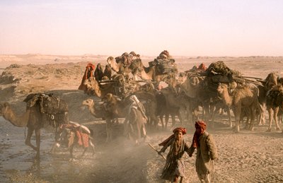 Niños tribales con caravana de camellos, caravaneros kuchi, se detuvieron en la acequia de... de Thomas J. Abercrombie