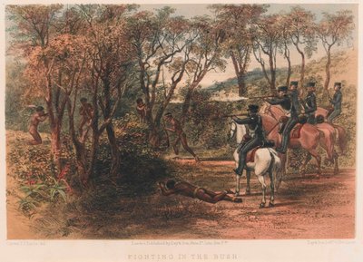 Lucha en el monte, 8ª Guerra de la Frontera del Cabo de Thomas J. Lucas