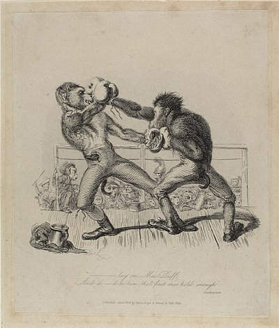 Monkeys Boxing, de Monkey-ana de Thomas Landseer
