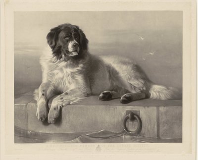 Retrato del perro de rescate Bob, acostado en un muelle Un miembro distinguido de la Sociedad Protectora de Animales (título sobre el objeto) de Thomas Landseer