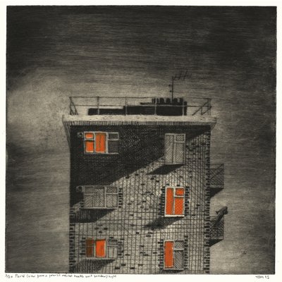 Parlé (vista desde una unidad de salud mental forense (noche)) de Thomas MacGregor