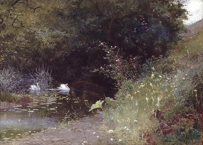 Cisnes en un lago de Thomas Mackay