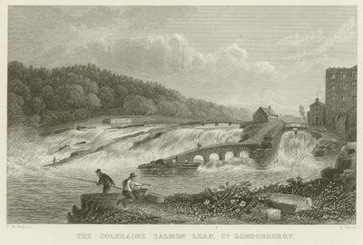 El salto del salmón en Coleraine de Thomas Mann Baynes