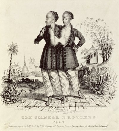 Los Hermanos Siameses, de 18 años, impreso por Charles Hullmandel, c.1829 de Thomas Mann Baynes