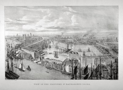 Vista del propuesto muelle de St Katharine, Londres, c. 1825 de Thomas Mann Baynes