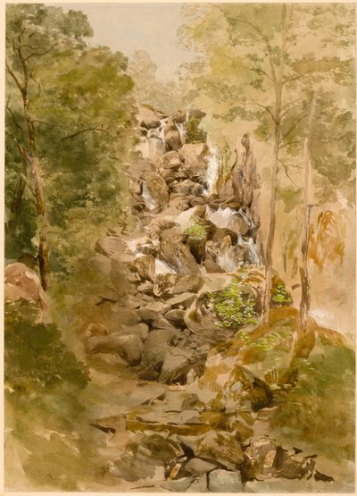 Paisaje con Cascada de Thomas Miles Richardson