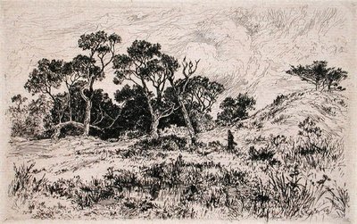 Un viento del sur y un cielo nublado proclaman una mañana de caza de Thomas Moran