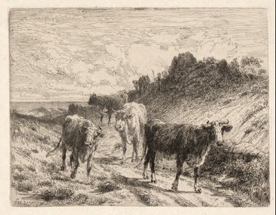 vacas de Thomas Moran