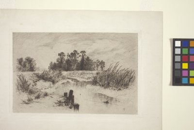 Paisaje pantanoso con arroyo (aguafuerte sobre papel) de Thomas Moran