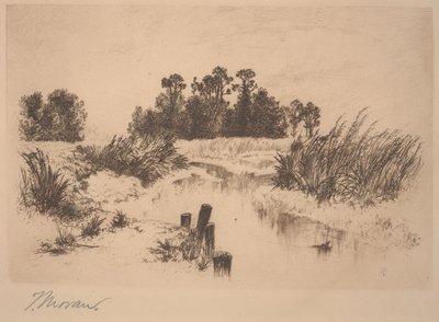 Praderas de Passaic (En las Praderas de Newark) de Thomas Moran