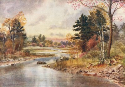  de Thomas Mower Martin