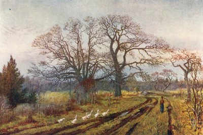  de Thomas Mower Martin