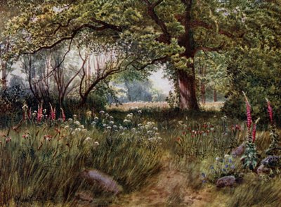 Jardines de Kew: En los jardines de la cabaña de la Reina de Thomas Mower Martin
