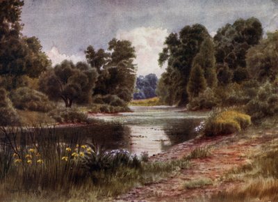 Jardines de Kew: El Lago, mirando al sur de Thomas Mower Martin
