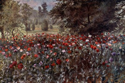 Jardines de Kew: Los parterres de amapolas de Thomas Mower Martin