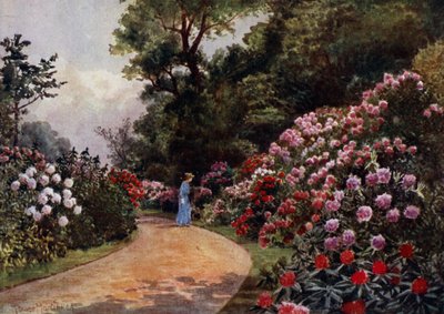 Jardines de Kew: El Paseo de los Rododendros de Thomas Mower Martin