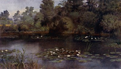 Jardines de Kew: El estanque de lirios de agua de Thomas Mower Martin
