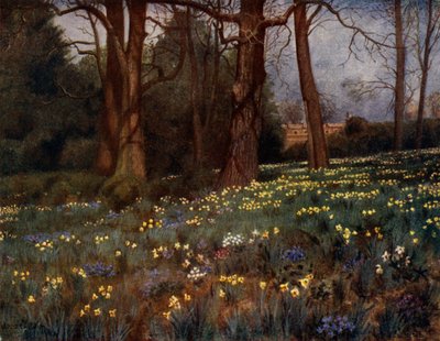 Jardines de Kew: El Jardín Silvestre en Primavera de Thomas Mower Martin