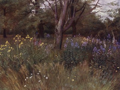 Jardines de Kew: Flores Silvestres en los Bosques de Haya de Thomas Mower Martin