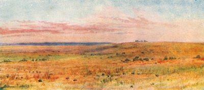  de Thomas Mower Martin