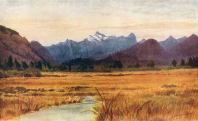  de Thomas Mower Martin