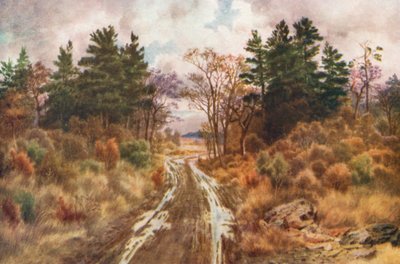 Carretera cerca de la bahía de Fundy, otoño (litografía en color) de Thomas Mower Martin