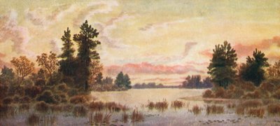 de Thomas Mower Martin