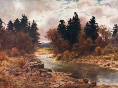  de Thomas Mower Martin