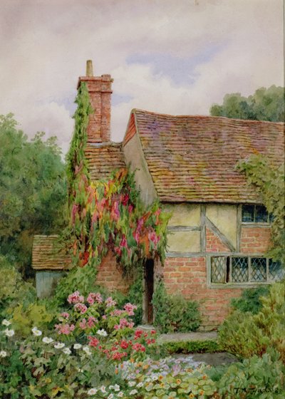 Un jardín de cabaña del viejo mundo de Thomas Nicholson Tyndale