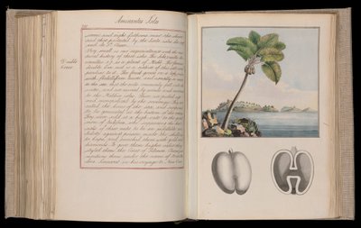 África etíope. Outlines of the Globe" o "Imaginary World Tour" en veintitrés volúmenes - narraciones, historia natural y bocetos de Thomas Pennant (1726-1798), naturalista, viajero y escritor. de Thomas Pennant
