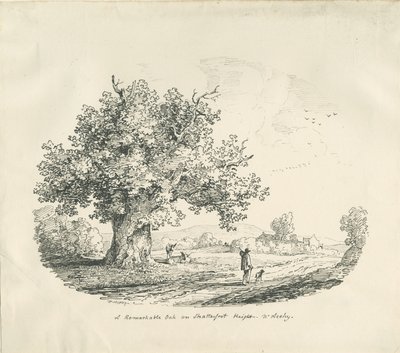 Arley - Shatterfort Height de Thomas Peploe Wood