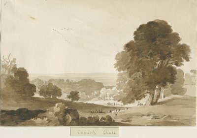 Cannock Chase de Thomas Peploe Wood