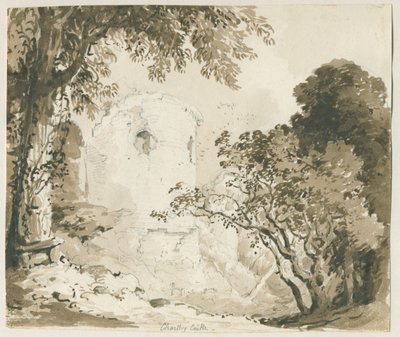 Chartley Castle de Thomas Peploe Wood